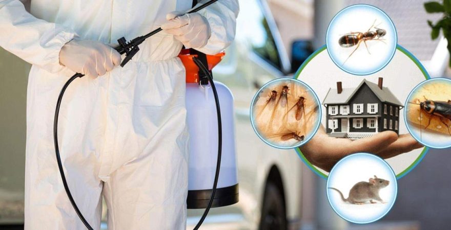 Yeşilhisar Böcek İlaçlama