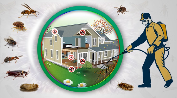 Yeşilhisar Böcek İlaçlama