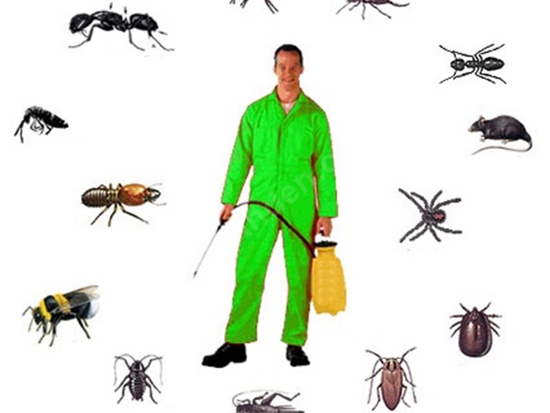 Yeşilhisar Böcek İlaçlama